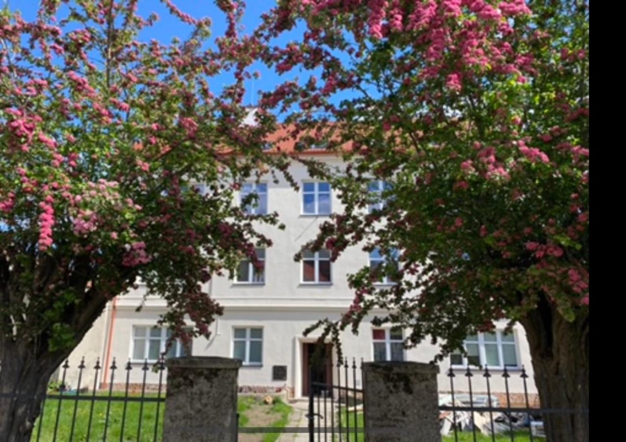 Appartamento Apartament 3 Pokojowy Z Parkingiem Zabkowice Slaskie Esterno foto